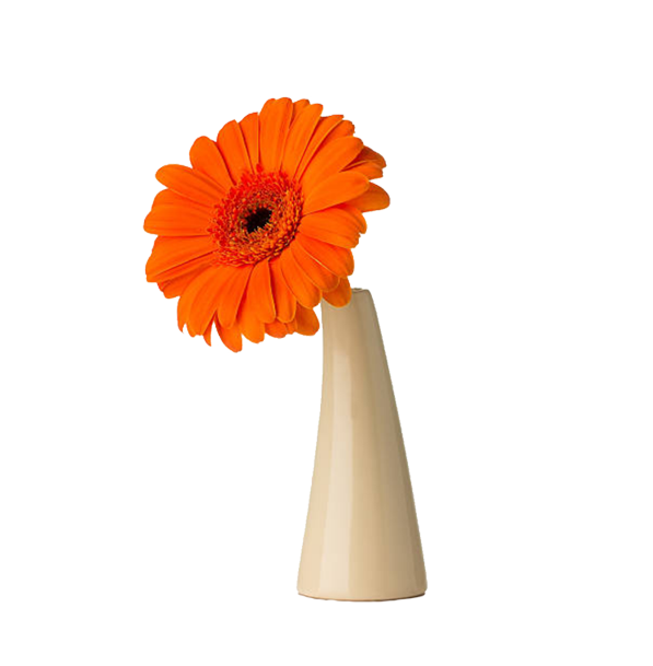 Modern Ceramic Vase Thumbnail